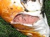 IMG_1506-1.jpg