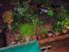 DSCF0225.JPG
