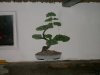 bilder ih 006.JPG
