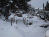unser teich im winter 20092010.jpg