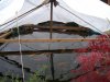 DSC09216_klein.jpg