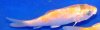 DSCF8842.JPG