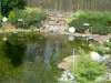 31.3.2008 031.JPG