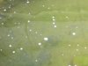 DSCN0367.JPG