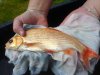DSC01835.JPG
