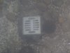 RIMG0046.JPG