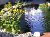 Mai_2008_Bild_47k.JPG