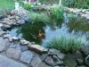 DSC00339.JPG
