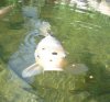 Dsc03259.jpg