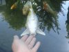 Dsc03274.jpg