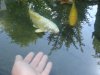 Dsc03273.jpg