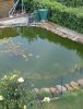 DSC00022.JPG