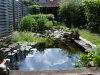DSC01010.JPG