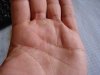 DSC01883.JPGhand.JPG