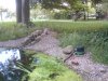 DSC00126.JPG