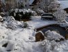 Winter 3.jpg