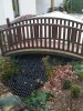 IMG00031-20101129-0943.jpg