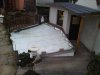 IMG00028-20101129-0941.jpg