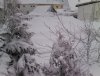 IMG102.jpg