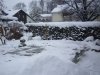 100_3921.jpg