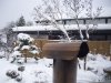 100_3946.jpg