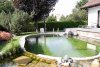 Mein Teich 9.jpg