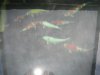 Bild 004.jpg