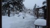 winter 2010-2010.jpg