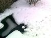 Foto0317a.jpg