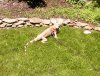 IMG051.jpg