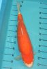 08.08.2010  58cm 1.jpg