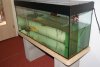 DSC00775.JPG