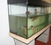 DSC00772.JPG