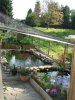Teich 2010 - klein.jpg