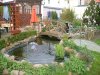 der frühling kommt 2010 (9).jpg