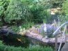 unser teich 8 juli 2010 021.jpg