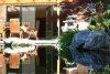 mittel-4466.jpg