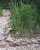 IMG_1953.jpg