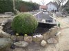 DSC02421.JPG