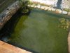 K800_DSCF1007.JPG