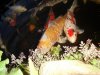 DSC00394 - Kopie.JPG