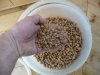 Kanne Pellets (2).JPG