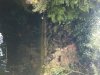 Wasserfälle.JPG