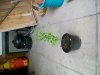 100_0776.jpg