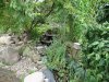 DSC00019-1.JPG