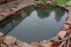 DSC_0107.JPG