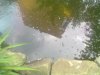28042011029.jpg