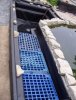 Bild teich 1.JPG