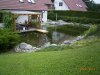 Teich 3.jpg
