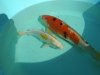 DSCN0819.jpg